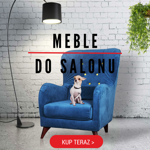 Meble do salonu