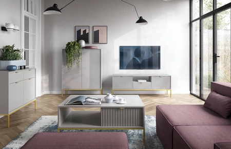 Zestaw mebli Lovro szary nowoczesny design meblościanka do salonu lub pokoju dziennego meble wzbogacone złotymi metalowymi dodatkami