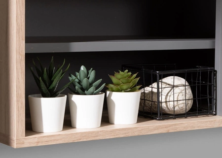 Półka Estan 140 cm dąb estana jasny / antracyt nowoczesny design mebla wysoka jakość obrzeża półki wykończone specjalną okleiną