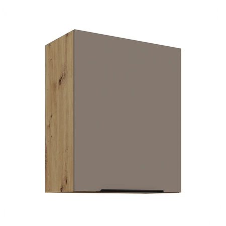 Szafka kuchenna wisząca Fiuggi Ar 60 G-72 1F szafka kuchenna odporna na uszkodzenia wykończenie frontów w technologii anti fingerprint