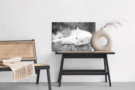 Obraz na płótnie czarno biały kot 100x70 cm ponadczasowa ozdoba wnętrza obraz w stonowanej kolorystyce wysoka jakość wykonania