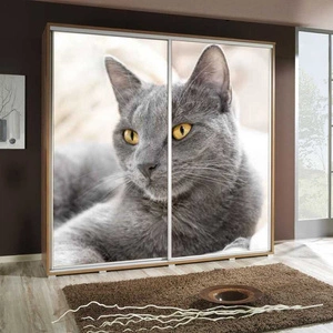 Szafa przesuwna Artistino 205 cm z grafiką kot korpus szafy w kolorze dąb catania wykonany z płyty o grubości 22mm