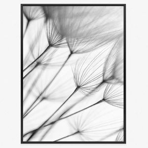 Plakat czarno białe dmuchawce 70x100 plakat w ramie precyzyjny wydruk ze stylową grafiką doskonała dekoracja salonu lub sypialni
