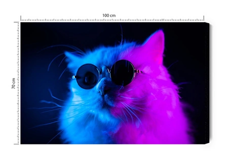 Obraz na płótnie kot w okularach 100x70 cm ponadczasowa ozdoba każdego wnętrza obraz w wyrazistej kolorystyce wysoka jakość wykonania