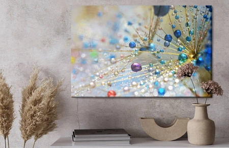 Obraz na płótnie dmuchawiec z kolorową rosą 100x70 cm ozdoba każdego wnętrza obraz w wyrazistej kolorystyce wysoka jakość wykonania