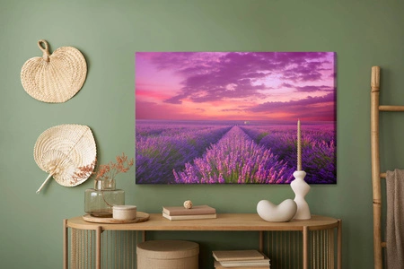 Obraz na płótnie pole lawendy 100x70 cm ponadczasowa ozdoba każdego wnętrza obraz w wyrazistej kolorystyce wysoka jakość wykonania