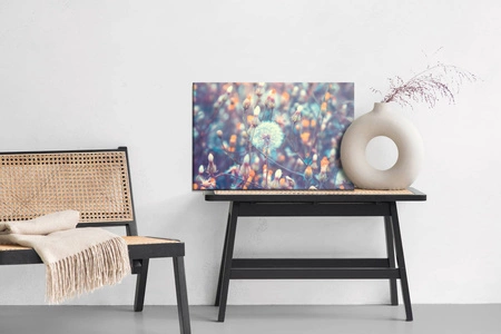 Obraz na płótnie dmuchawce na łące 100x70 cm ponadczasowa ozdoba wnętrza obraz w wyrazistej kolorystyce wysoka jakość wykonania