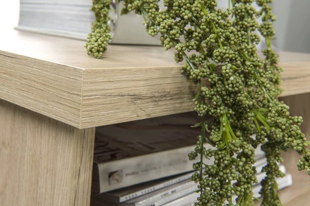 Stolik kawowy Cali dąb artisan / czarny z szufladą nowoczesny design ozdobne lamele na szufladzie blat odporny na rozlanie cieczy