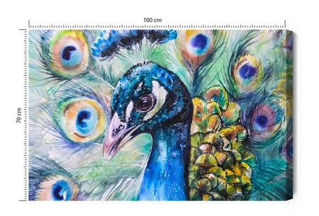 Obraz na płótnie kolorowy paw 100x70 cm ponadczasowa ozdoba każdego wnętrza obraz w wyrazistej kolorystyce wysoka jakość wykonania