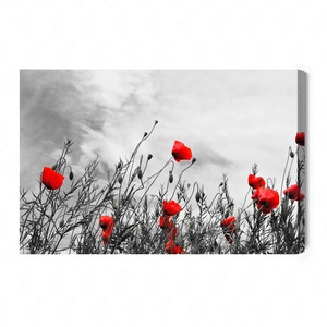 Obraz na płótnie maki na czarno białym tle 100x70 cm ozdoba każdego wnętrza obraz w wyrazistej kolorystyce wysoka jakość wykonania