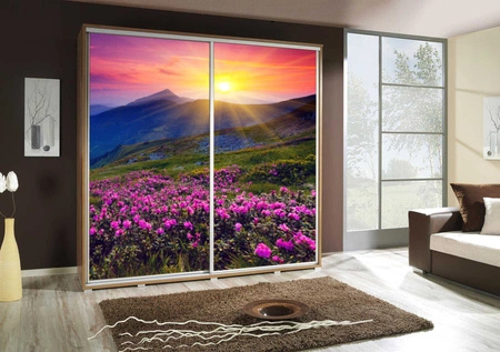 Szafa przesuwna Artistino 205 cm z grafiką góry II korpus szafy w kolorze dąb catania wykonany z płyty o grubości 22mm