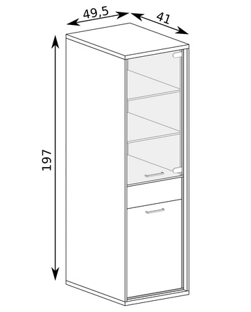 Witryna Mediolan 49 cm hikora elegancka witryna do salonu elementy z bezpiecznego szkła szuflada z systemem push to open subtelne czarne dodatki