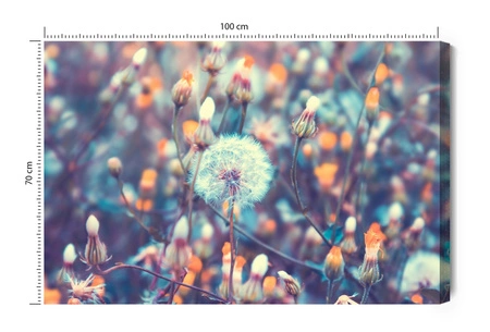 Obraz na płótnie dmuchawce na łące 100x70 cm ponadczasowa ozdoba wnętrza obraz w wyrazistej kolorystyce wysoka jakość wykonania