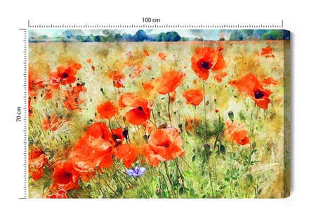 Obraz na płótnie maki na łące 100x70 cm ponadczasowa ozdoba wnętrza obraz w wyrazistej kolorystyce wysoka jakość wykonania