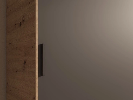 Szafa przesuwna z lustrem Hailey 120 cm dąb artisan / czarny minimalistyczna forma szafa idealnie wpasuje się do każdego wnętrza