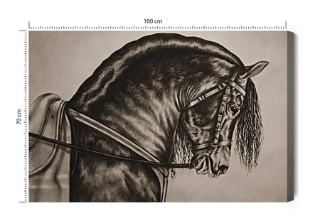 Obraz na płótnie naszkicowany koń 100x70 cm ponadczasowa ozdoba wnętrza obraz w stonowanej kolorystyce wysoka jakość wykonania