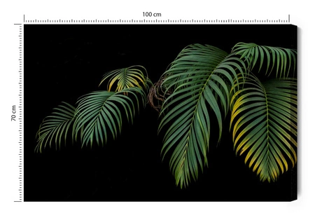 Obraz na płótnie liście palmowe 100x70 cm ponadczasowa ozdoba każdego wnętrza obraz w wyrazistej kolorystyce wysoka jakość wykonania