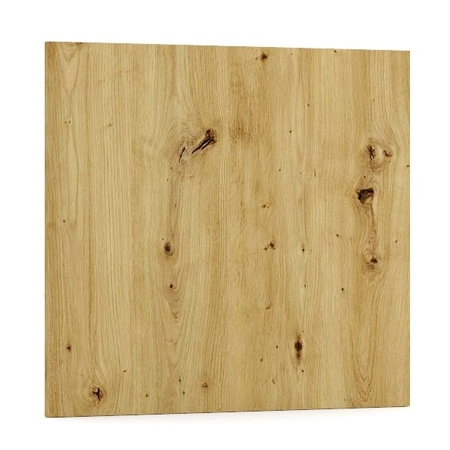 Front do zmywarki Clara FZ 60 P.O 596x570 odporny na parę wodną wysoką temperaturę i rozlaną ciecz