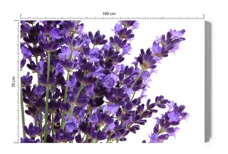 Obraz na płótnie malowana lawenda 100x70 cm ponadczasowa ozdoba wnętrza obraz w stonowanej kolorystyce wysoka jakość wykonania