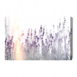 Obraz na płótnie kwitnąca lawenda 100x70 cm ponadczasowa ozdoba wnętrza obraz w stonowanej kolorystyce wysoka jakość wykonania