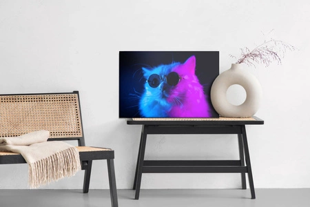 Obraz na płótnie kot w okularach 100x70 cm ponadczasowa ozdoba każdego wnętrza obraz w wyrazistej kolorystyce wysoka jakość wykonania