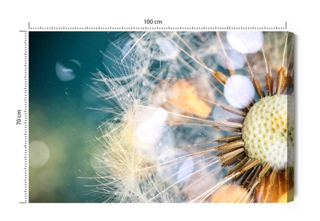 Obraz na płótnie dmuchawiec 100x70 cm ponadczasowa ozdoba każdego wnętrza obraz w wyrazistej kolorystyce wysoka jakość wykonania