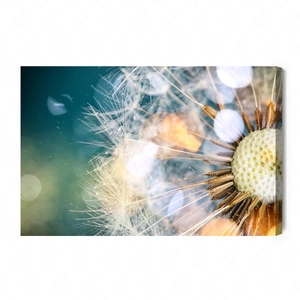 Obraz na płótnie dmuchawiec 100x70 cm ponadczasowa ozdoba każdego wnętrza obraz w wyrazistej kolorystyce wysoka jakość wykonania