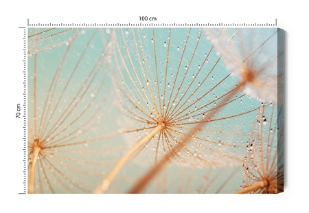 Obraz na płótnie delikatne dmuchawce 100x70 cm ponadczasowa ozdoba wnętrza obraz w stonowanej kolorystyce wysoka jakość wykonania