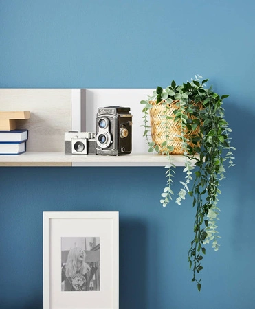 Półka Remona 120 cm dąb wilton biały / biały / antracyt dla miłośników wyrazistych wnętrz atrakcyjna pod względem wizualnym oraz funkcjonalnym