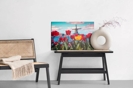 Obraz na płótnie kolorowe tulipany 100x70 cm ponadczasowa ozdoba wnętrza obraz w wyrazistej kolorystyce wysoka jakość wykonania