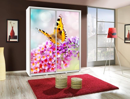 Szafa przesuwna Artistino 155 cm z grafiką motyl korpus szafy w kolorze białym wykonany z płyty o grubości 22mm