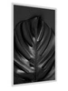 Plakat czarny liść monstery 70x100 plakat w ramie precyzyjny wydruk ze stylową grafiką doskonała dekoracja do salonu lub sypialni