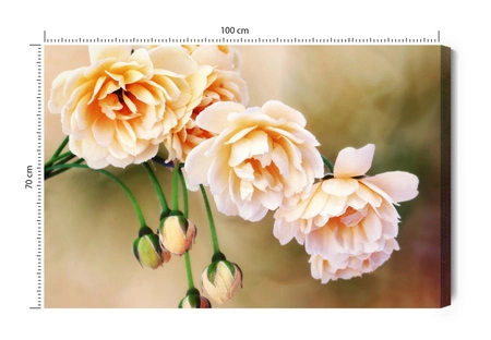 Obraz na płótnie miniaturowe róże 100x70 cm ponadczasowa ozdoba wnętrza obraz w stonowanej kolorystyce wysoka jakość wykonania
