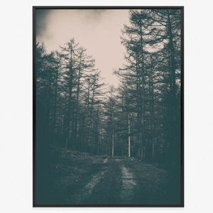 Plakat droga w mrocznym lesie 70x100 plakat w ramie precyzyjny wydruk ze stylową grafiką doskonała dekoracja do salonu lub sypialni