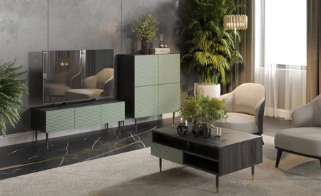 Komoda Salem 90 cm czarne drewno / pistacjowa zieleń elegancka i stylowa komoda do salonu z dekoracyjnymi lamelami na frontach