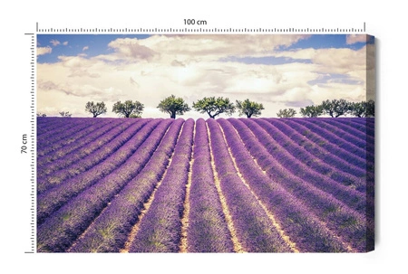 Obraz na płótnie lawendowe pole 100x70 cm ponadczasowa ozdoba każdego wnętrza obraz w wyrazistej kolorystyce wysoka jakość wykonania