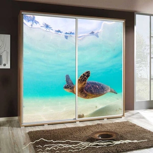 Szafa przesuwna Artistino 205 cm z grafiką żółw korpus szafy w kolorze dąb catania wykonany z płyty o grubości 22mm