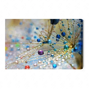 Obraz na płótnie dmuchawiec z kolorową rosą 100x70 cm ozdoba każdego wnętrza obraz w wyrazistej kolorystyce wysoka jakość wykonania