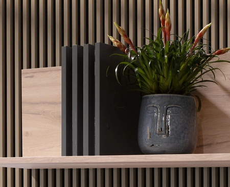 Meblościanka Estan dąb estana jasny / antracyt innowacyjne meble do salonu i pokoju dziennego w nowoczesnym stylu