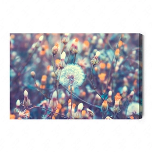 Obraz na płótnie dmuchawce na łące 100x70 cm ponadczasowa ozdoba wnętrza obraz w wyrazistej kolorystyce wysoka jakość wykonania