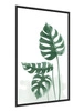 Plakat liście monstery 70x100 plakat w ramie precyzyjny wydruk ze stylową grafiką doskonała dekoracja do salonu lub sypialni
