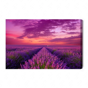 Obraz na płótnie pole lawendy 100x70 cm ponadczasowa ozdoba każdego wnętrza obraz w wyrazistej kolorystyce wysoka jakość wykonania