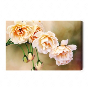 Obraz na płótnie miniaturowe róże 100x70 cm ponadczasowa ozdoba wnętrza obraz w stonowanej kolorystyce wysoka jakość wykonania